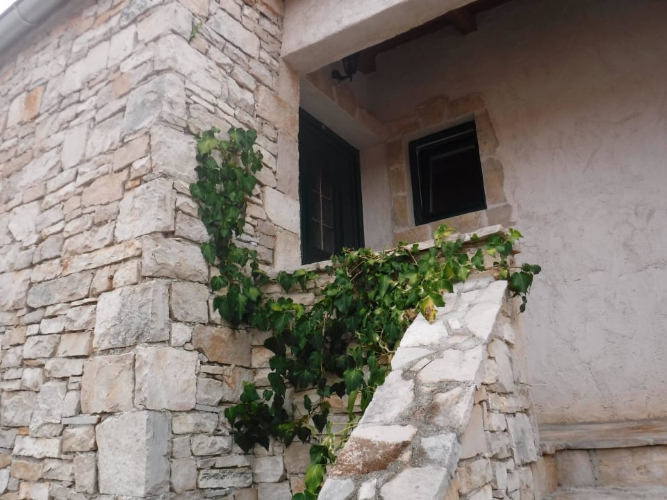 Treppenaufgang zu einem Zimmer Guesthouse Nono Ban