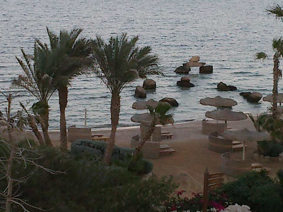 Фото с террасы номера Pickalbatros Citadel Resort