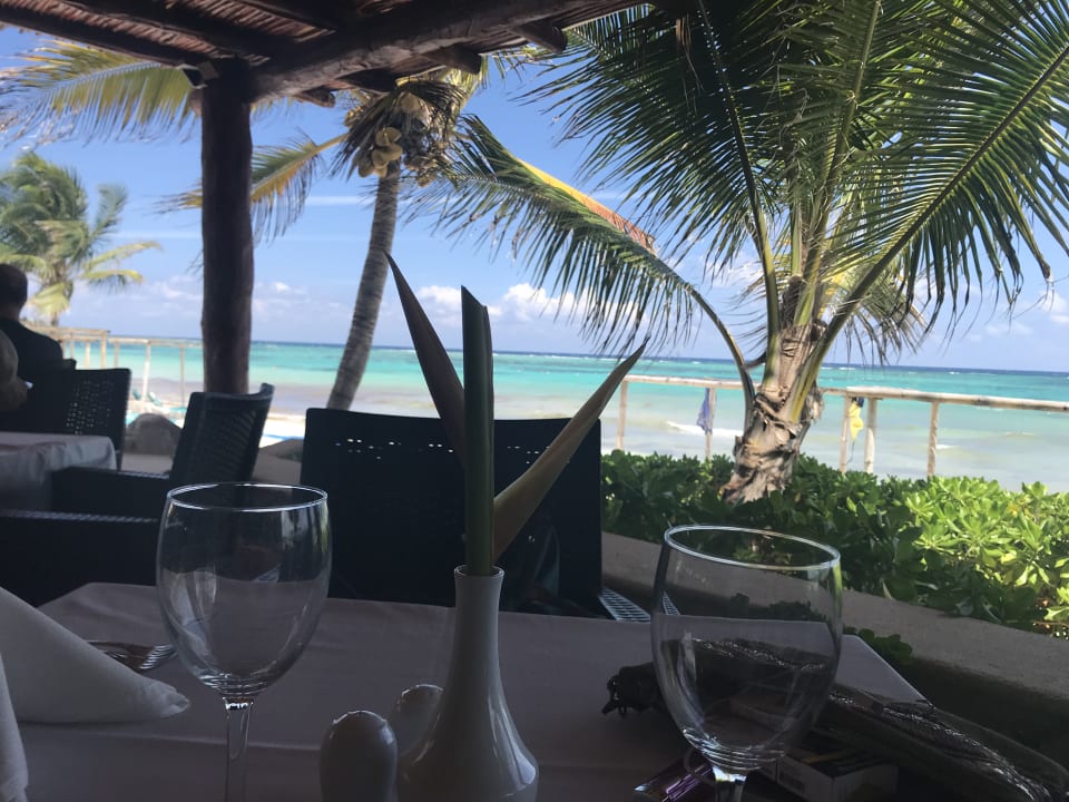 Gastro Akumal Bay Beach & Wellness Resort