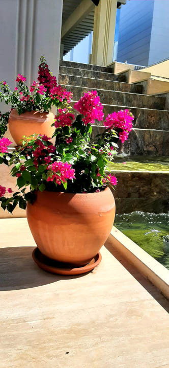 Sonstiges Monachus Family Resort Sorgun