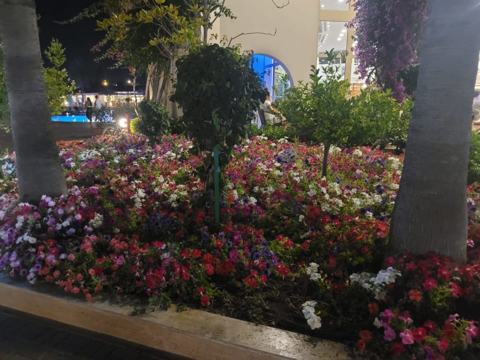 Gartenanlage VONRESORT Golden Beach