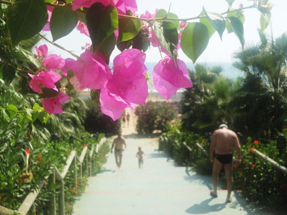 Treppe vom Garten zum Sandstrand Trendy Aspendos Beach Hotel