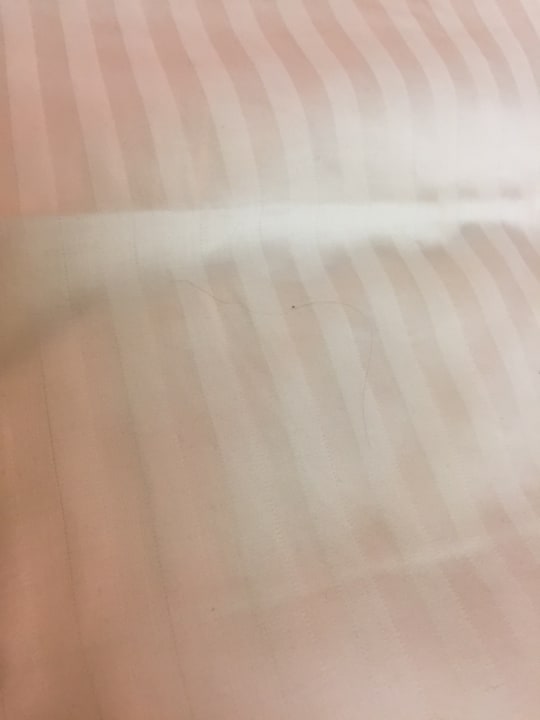 Zimmer Hotel Almesberger