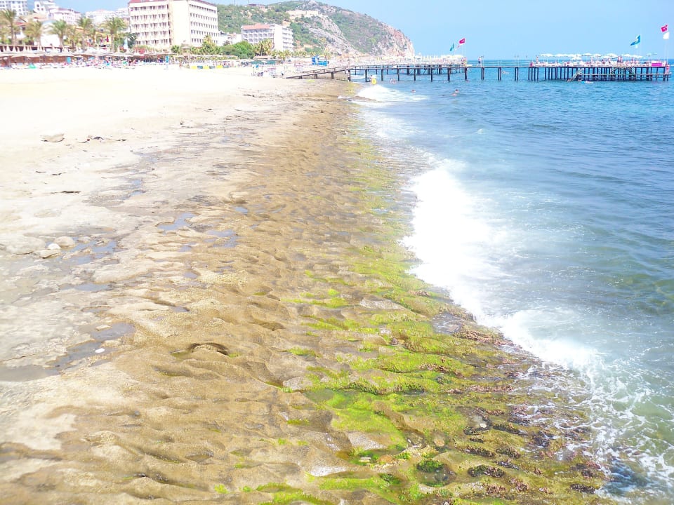 Nicht gut Dizalya Palm Garden