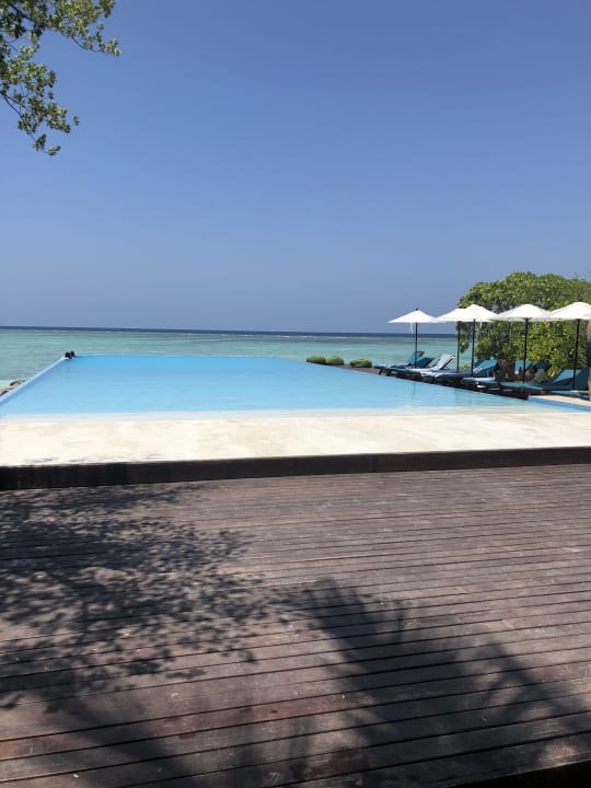 Pool Summer Island Maldives