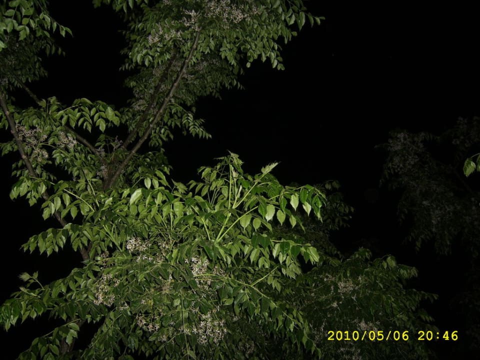 Abends Belek Beach Resort Hotel