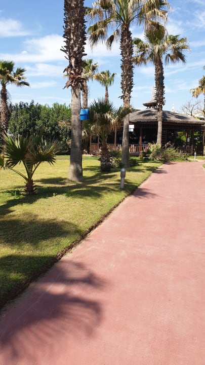 Gartenanlage Saturn Palace Resort Hotel