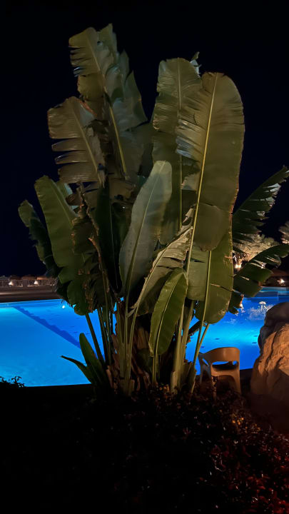 Pool Lazuli Hotel Marsa Alam