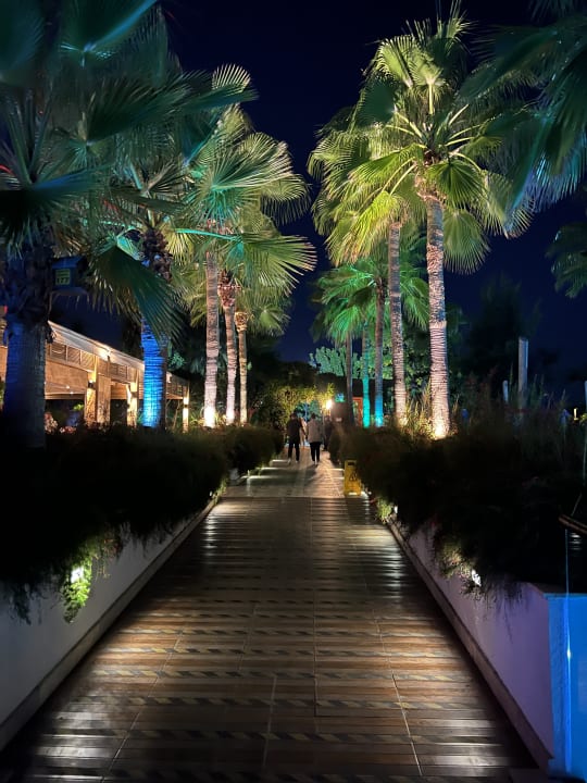 Gartenanlage Sentido Trendy Verbena Beach