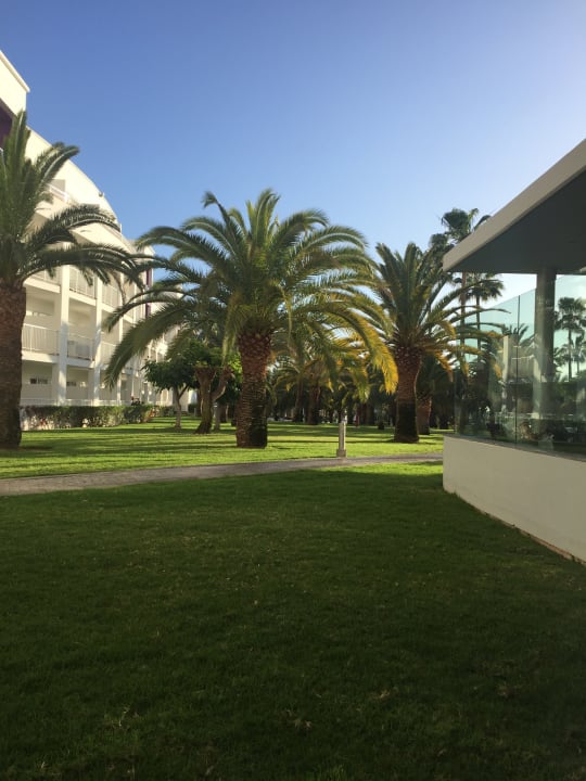 Gartenanlage Hotel Riu Gran Canaria