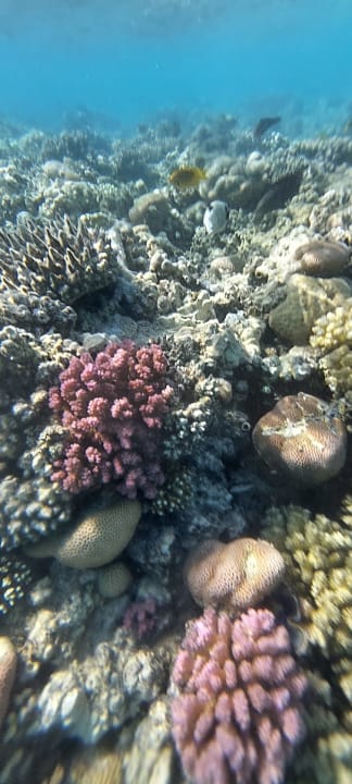 Sport & Freizeit Jaz Makadi Oasis Resort