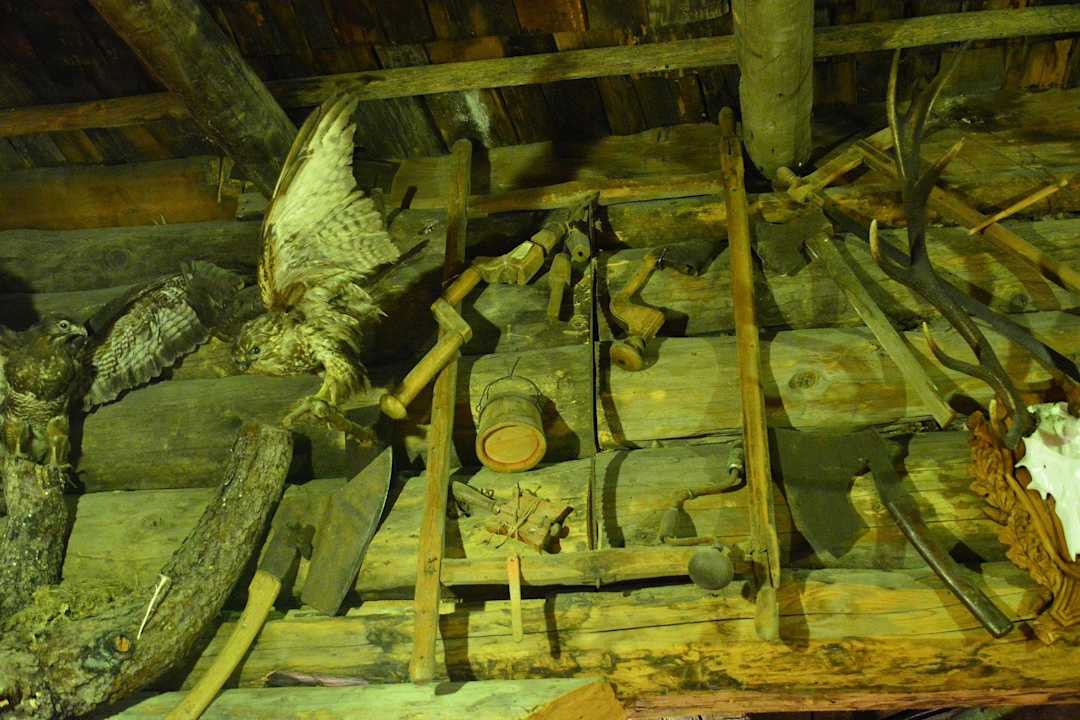 Weißalm im Großarltal Berghütte Weissalm