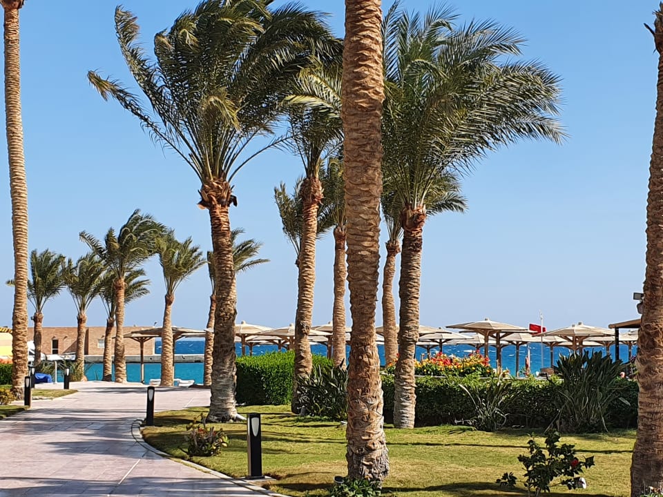Gartenanlage Palm Beach Resort