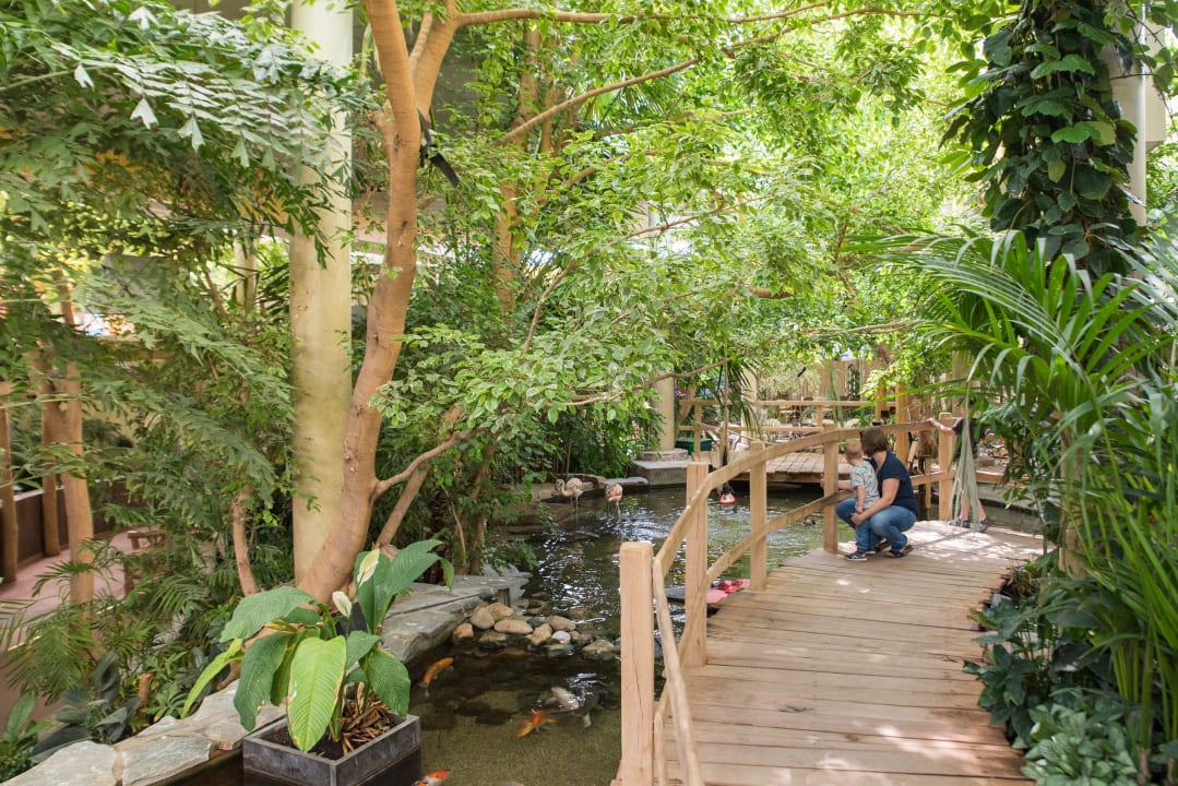 Sport & Freizeit Center Parcs Port Zélande
