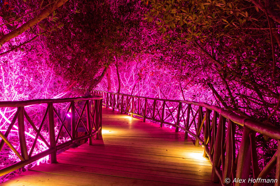 Zugang zum Meer - Poolbereich Catalonia Royal Tulum Beach & Spa Resort - Adults only