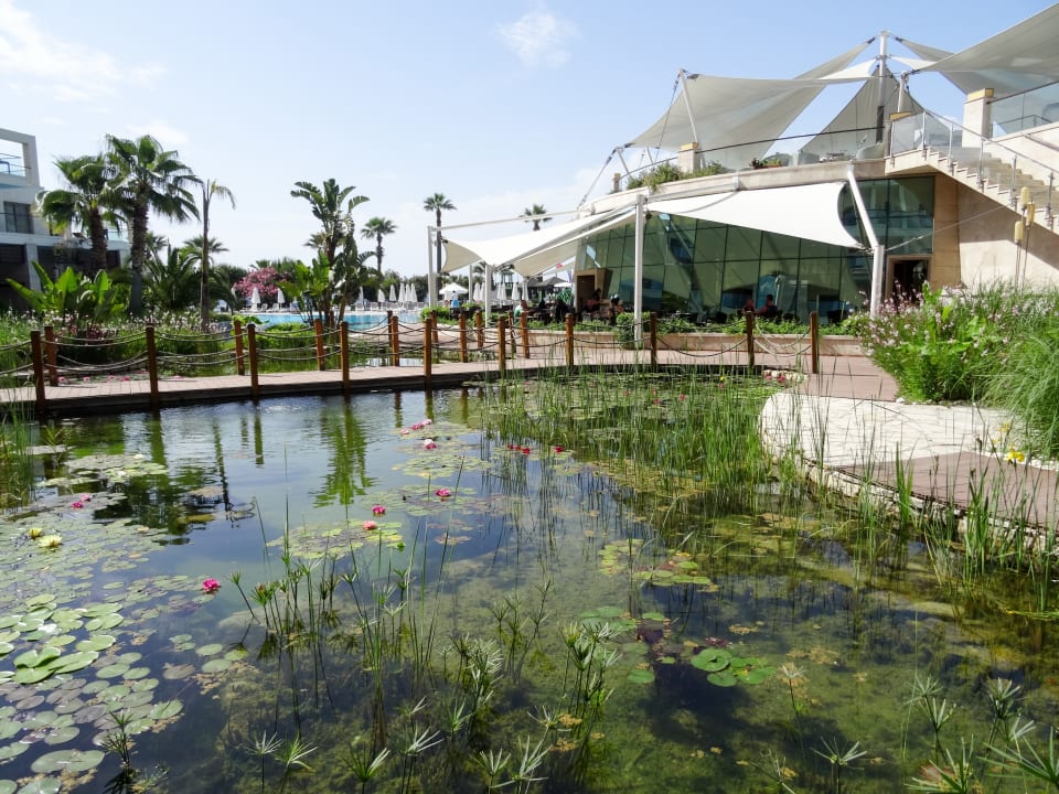 Gartenanlage Paloma Pasha