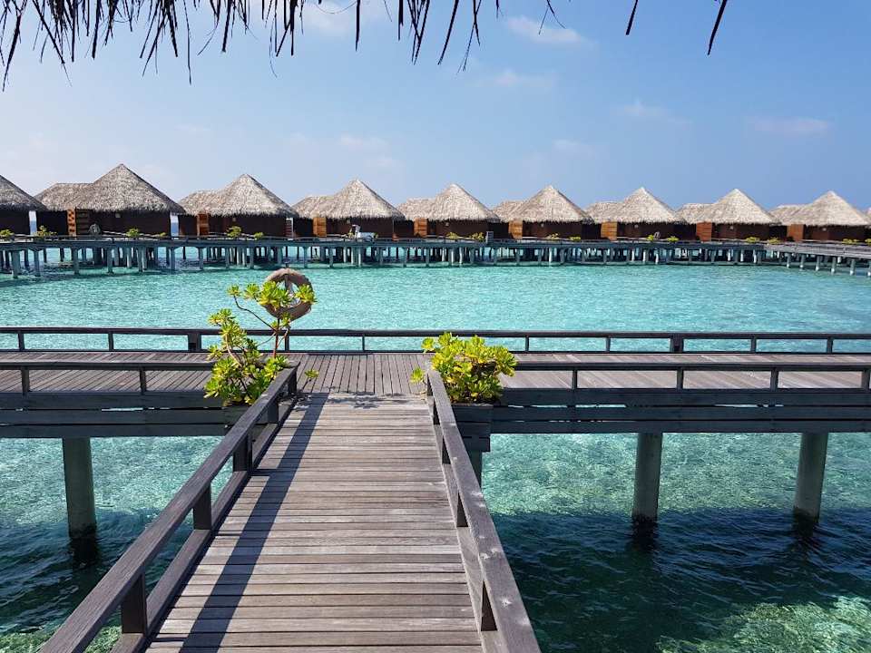 Außenansicht Baros Maldives Resort