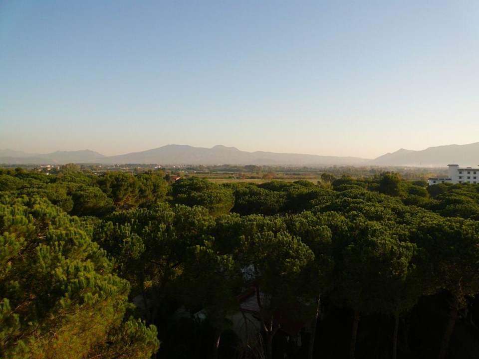 Sicht von der Treppe des Hotels ins Landesinnere Hotel Marina Club
