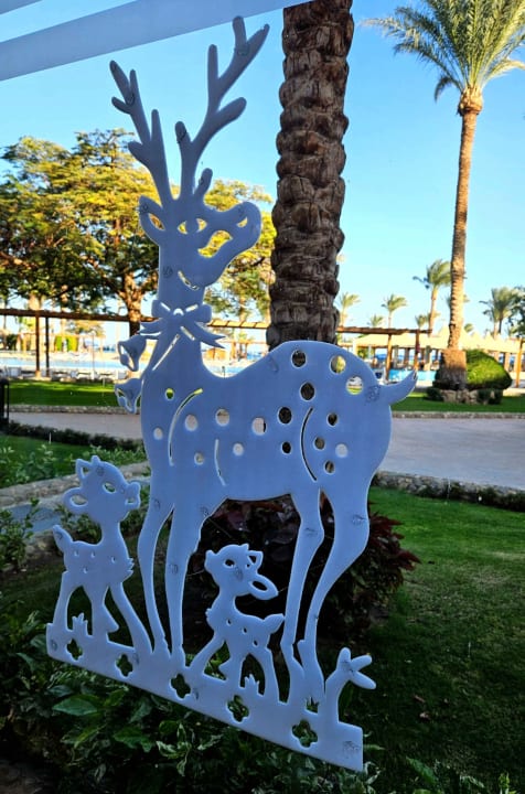 Sonstiges Continental Hotel Hurghada