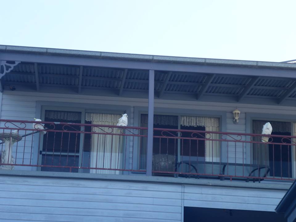 Kakadu-Besuch Heritage House Motel & Units