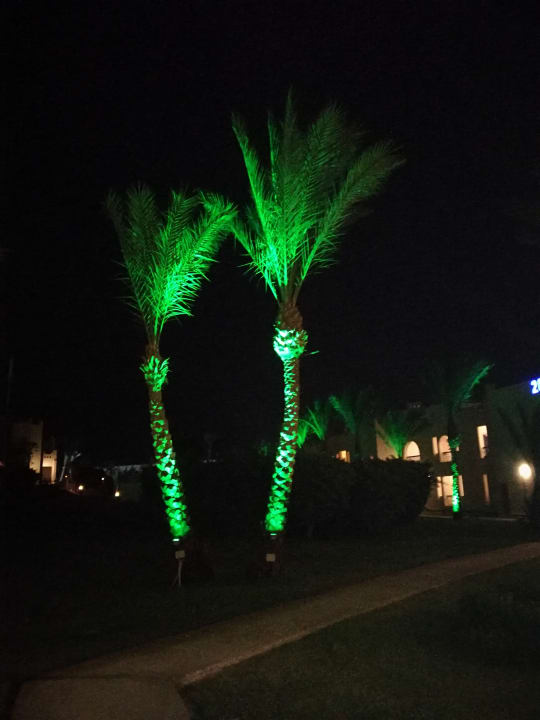 Garten SUNRISE Royal Makadi Resort