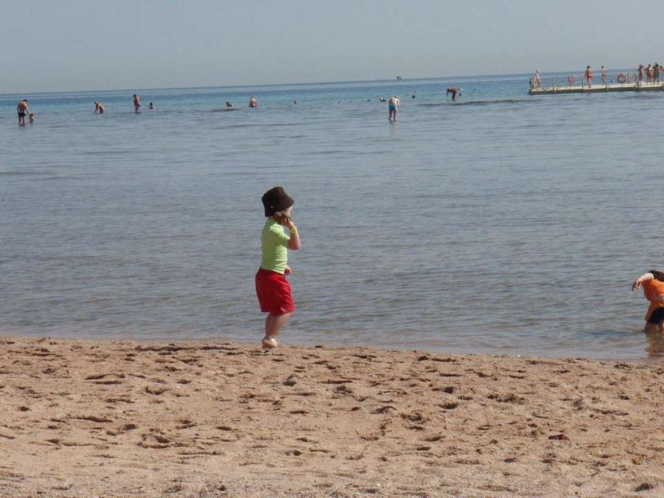 Strand bei Ebbe Pickalbatros Palace Resort