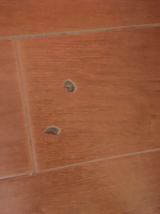 Zimmer All Senses Nautica Blue Exclusive Resort & Spa