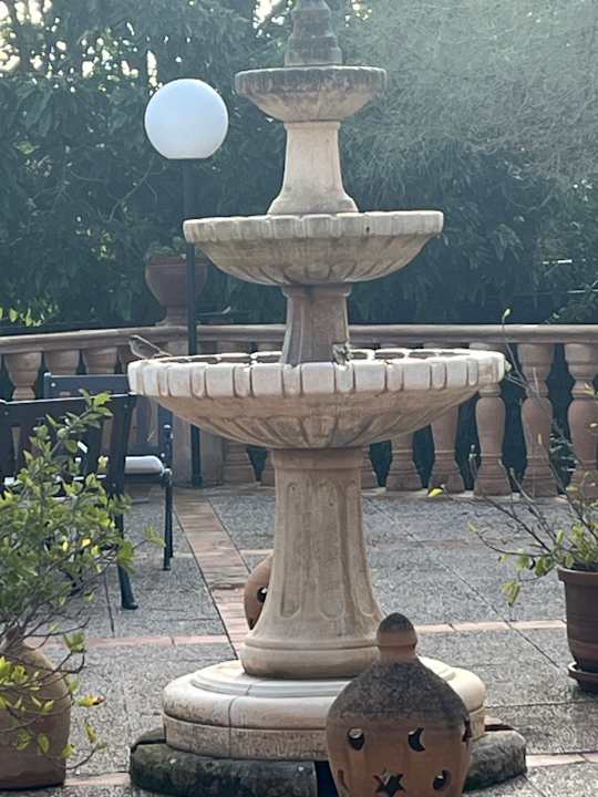 Gartenanlage Aumallia Hotel & Spa