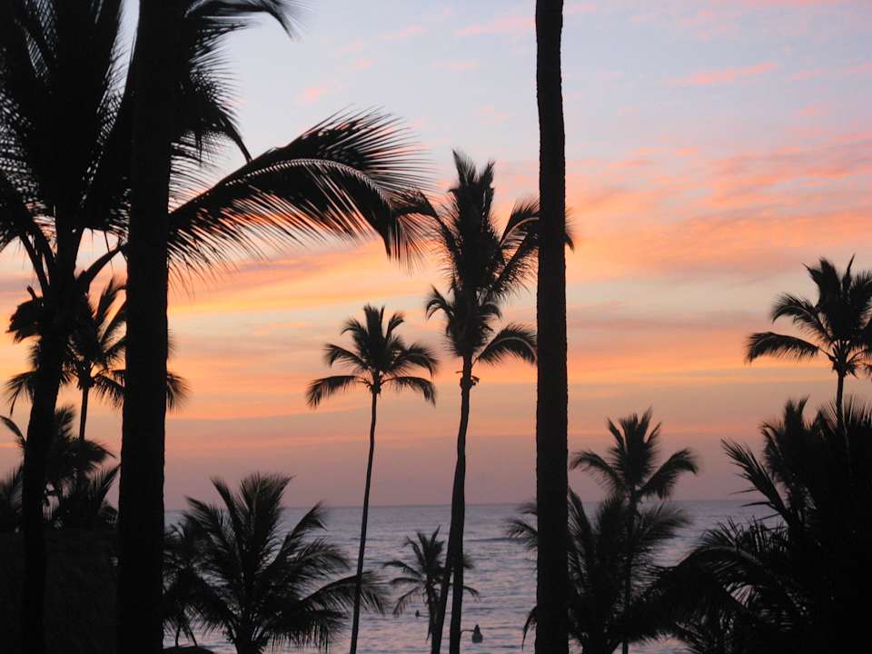 Palmen Vik Hotel Arena Blanca & Cayena Beach