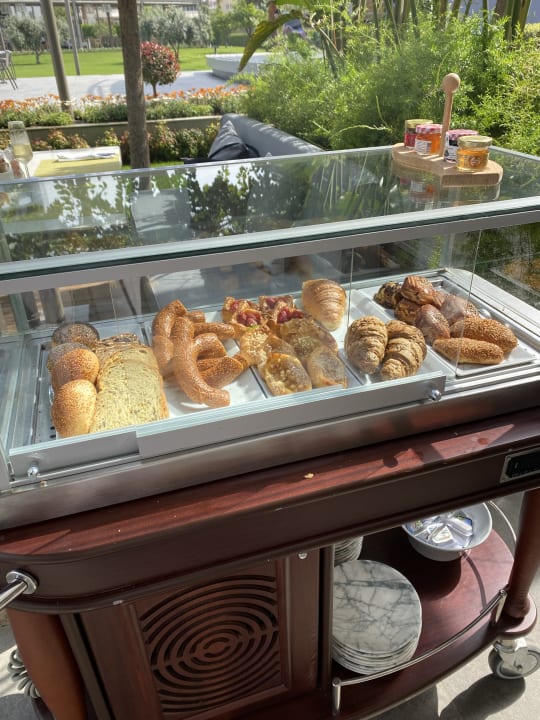 Gastro Acanthus Cennet Barut Collection