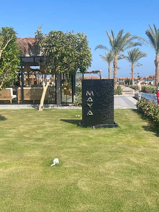 Gastro Steigenberger Resort Ras Soma