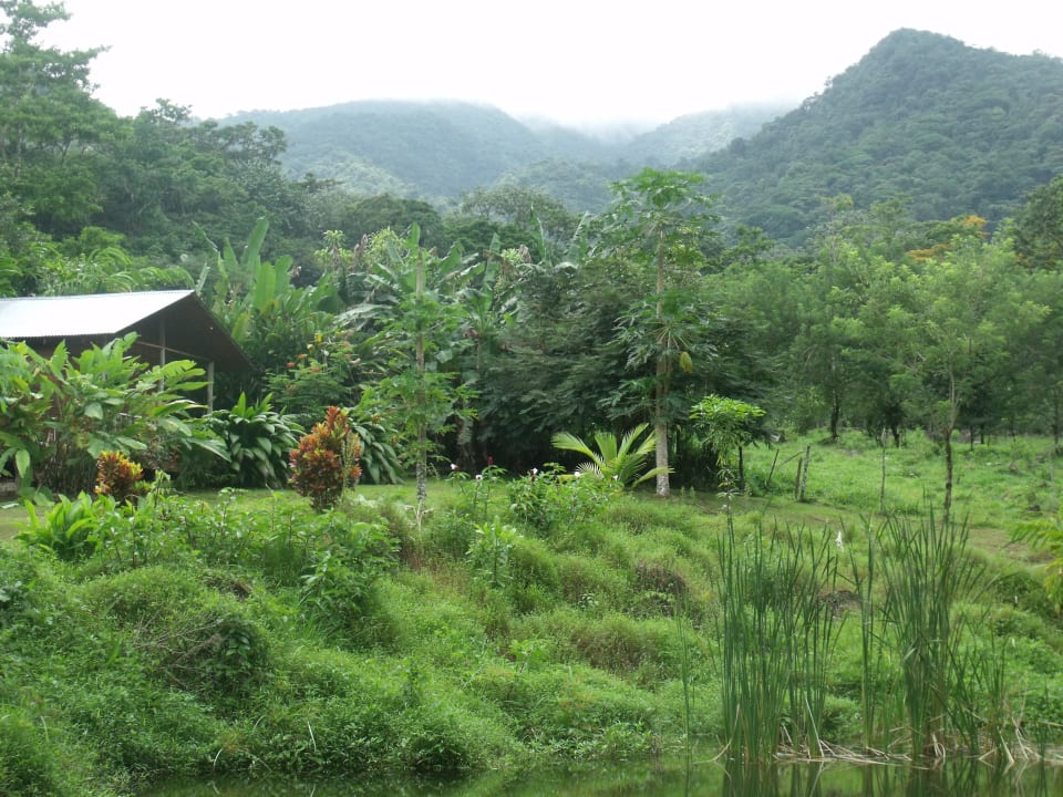 Alrededores Cataratas Bijagua Lodge