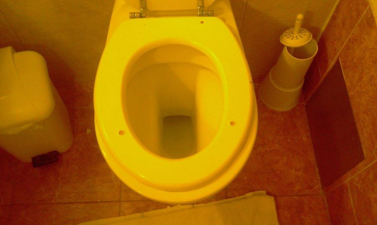 Tavoletta water con buchi  Dodeca Sea Resort