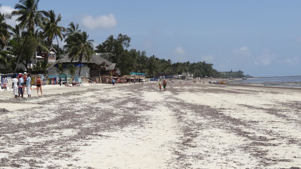 Strand mit Seegras Hotel Traveller's Club