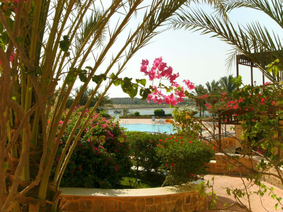 Sicht vom Poolweg Steigenberger Coraya Beach - Adults only