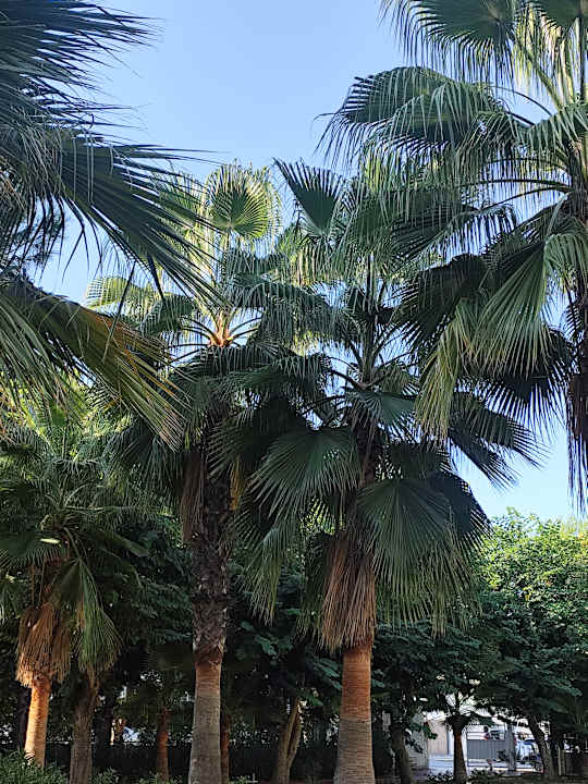 Pool Side Breeze Hotel
