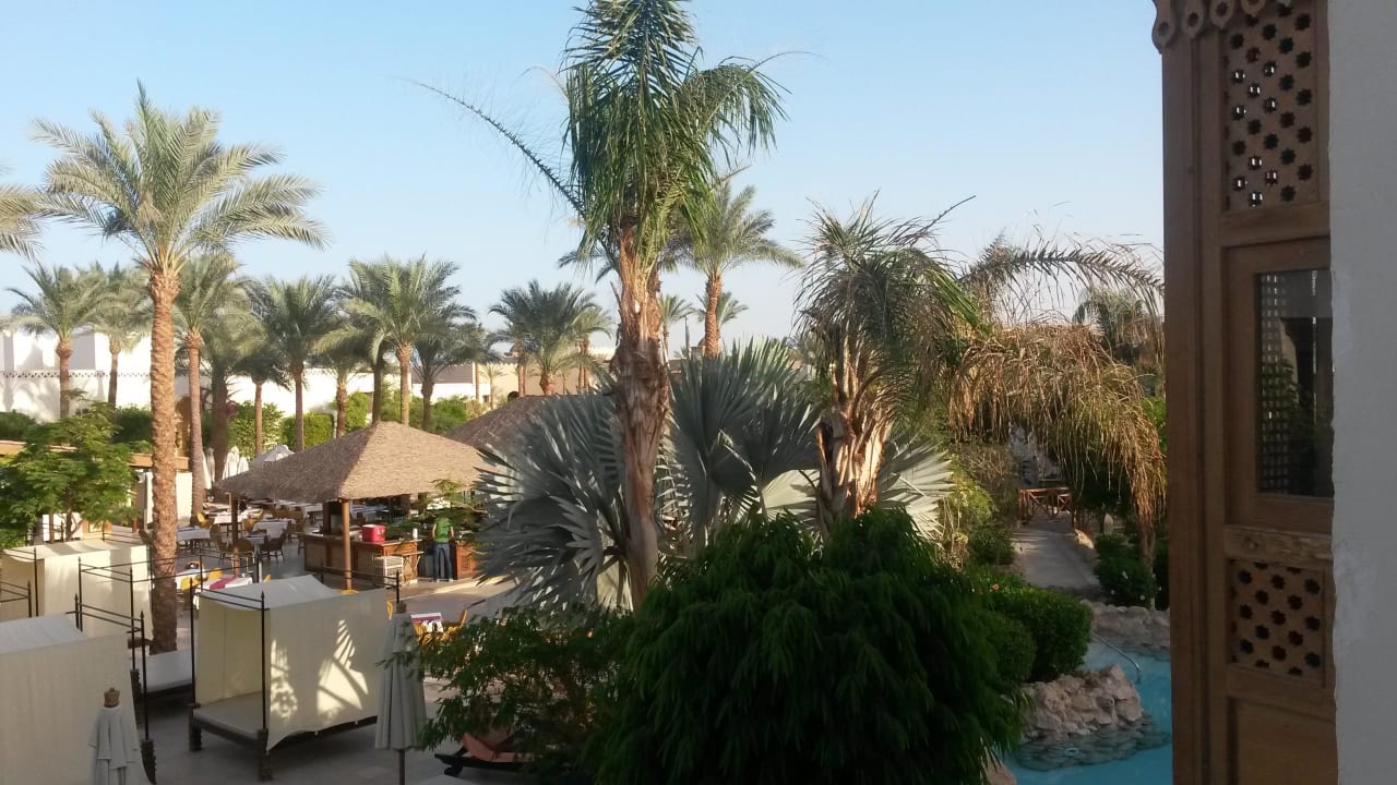 Garten und Pool Ghazala Gardens