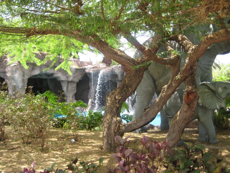 Blick auf einen der Pools Lopesan Baobab Resort
