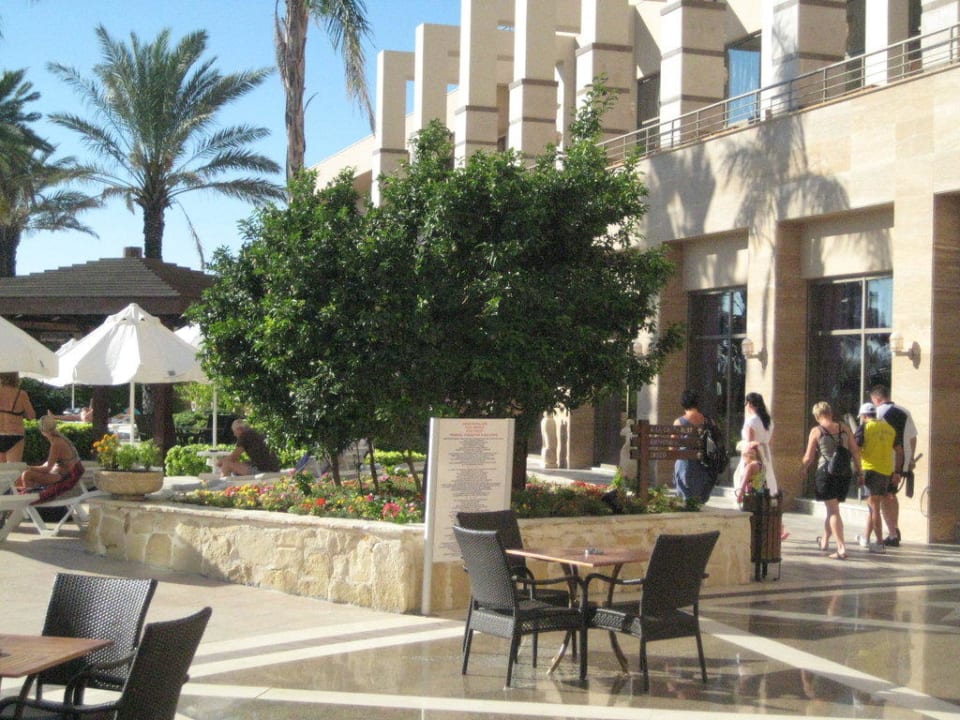 Sitzmöglichkeiten an der Poolbar Fame Residence Lara & Spa