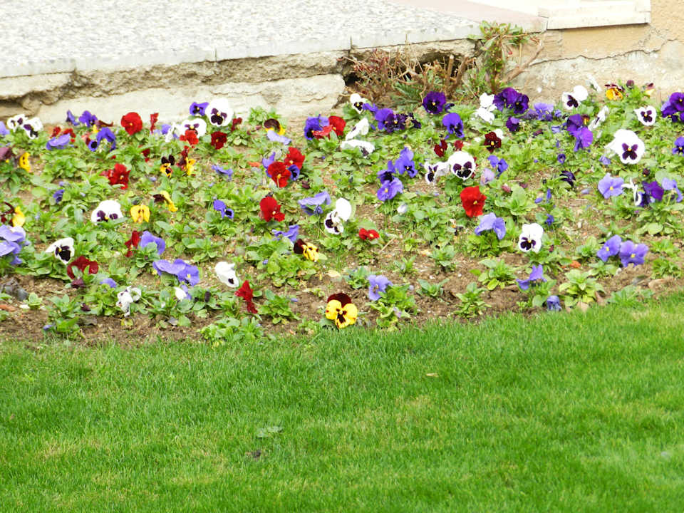 Blümchen Voyage Belek Golf & Spa