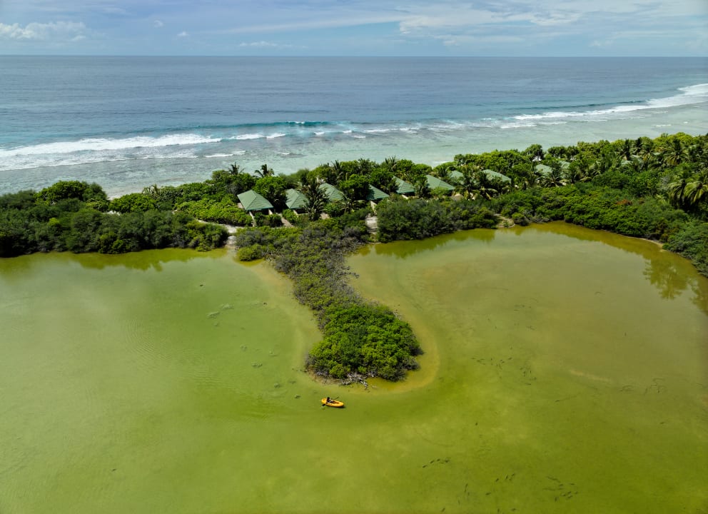 Gartenanlage Canareef Resort Maldives