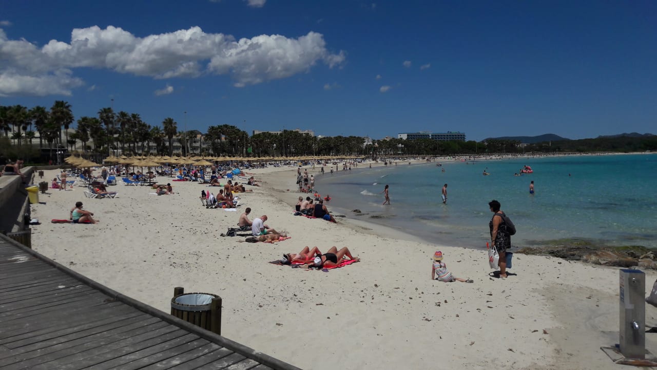 Strand von Sa Coma Protur Safari Park Aparthotel