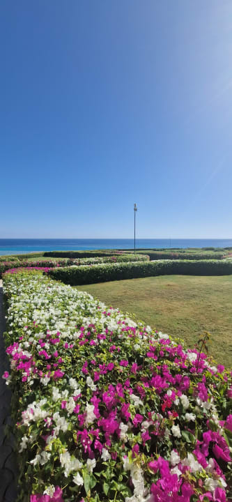 Gartenanlage Sirena Beach Resort & Spa