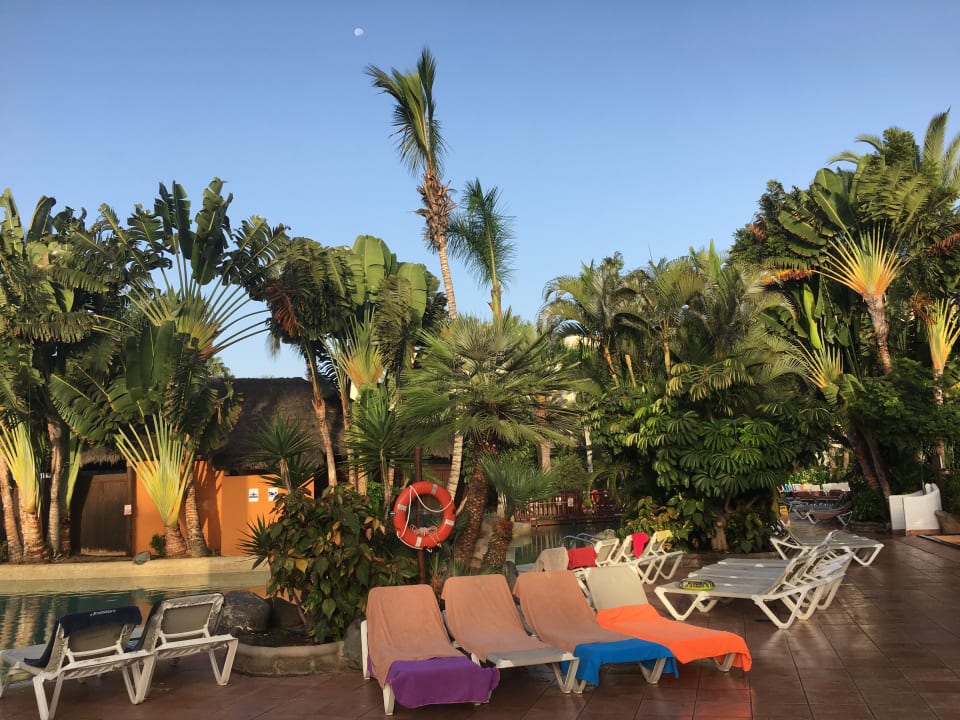 Gartenanlage Maspalomas Princess