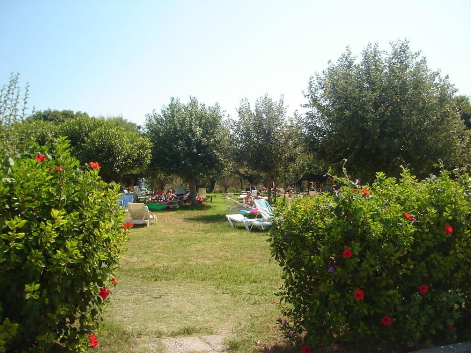 Blick vom Pool in den Garten Irene Palace Beach Resort Club alltoura