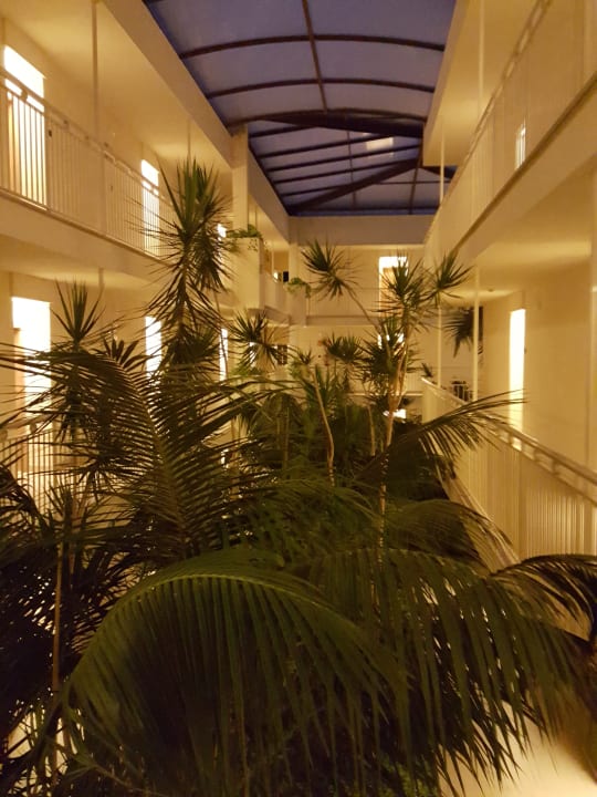 Sonstiges Zafiro Mallorca