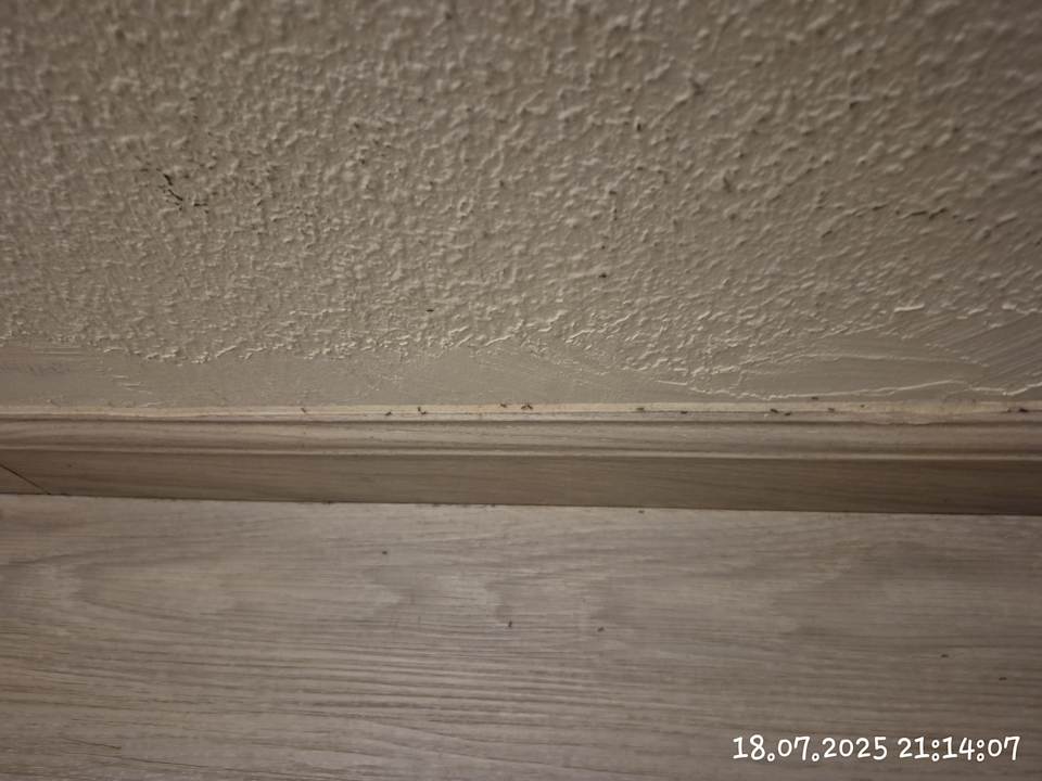 Zimmer SBH Hotel Taro Beach