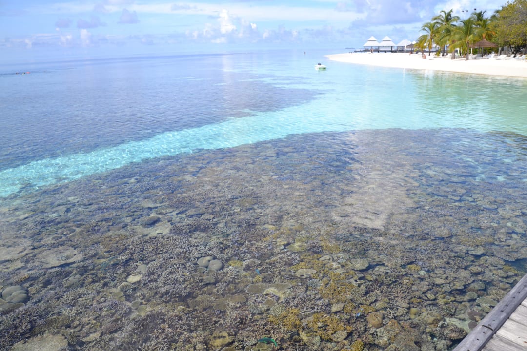 Diamonds Athuruga Beach & Water Villas ananea Diamonds Athuruga