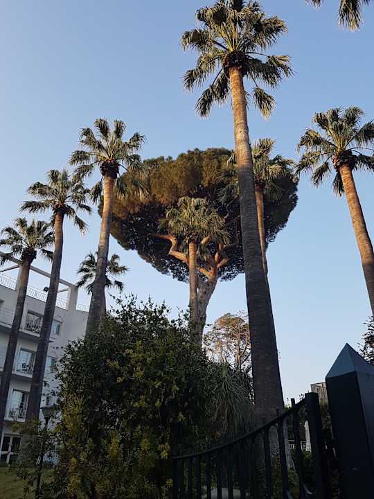 Gartenanlage Hotel La Residenza