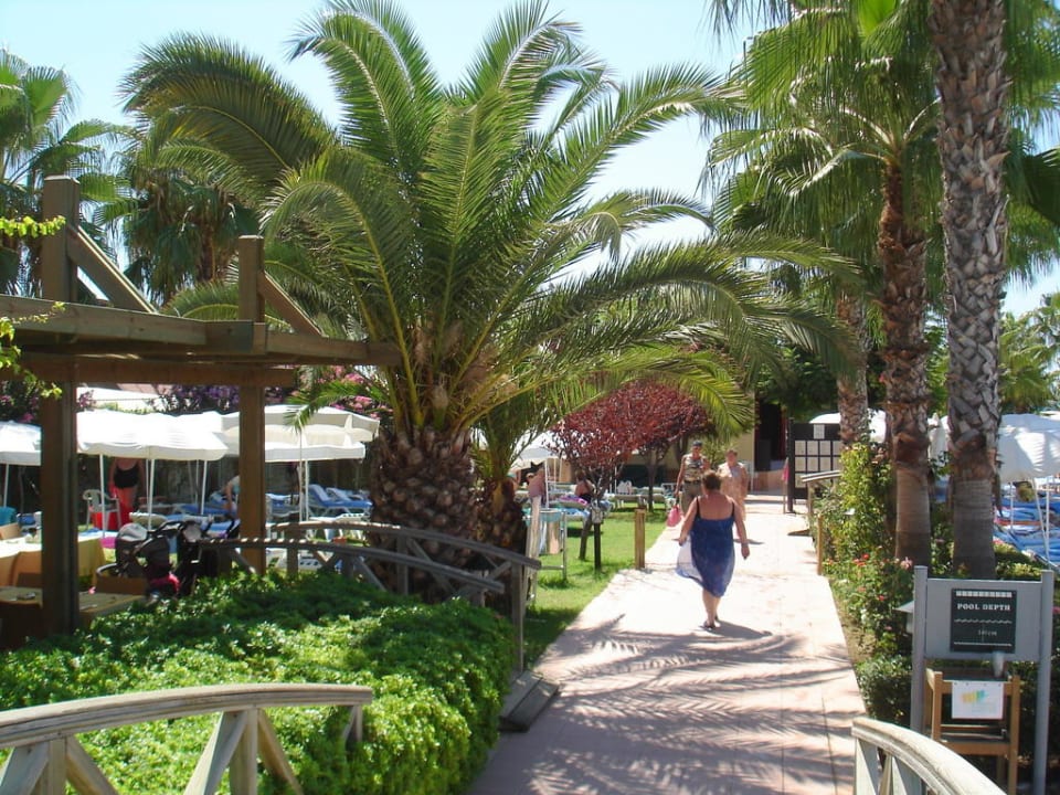 Schöne Gartenanlage Trendy Palm Beach (Adults Only, 16+)